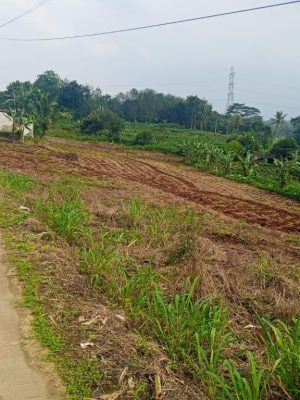 gambar-jual-tanah-murah gambar-jual-tanah-murah