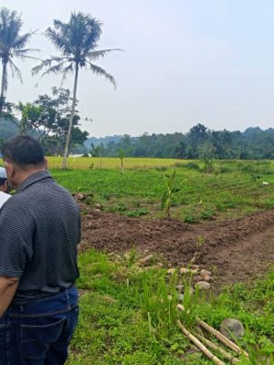 gambar-jual-tanah-murah1 gambar-jual-tanah-murah1
